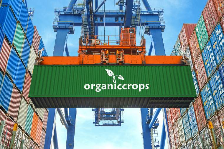 OrganicCrops exports superfood products from Peru