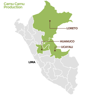 camu camu organica certificada en polvo de la selva amazónica en Perú.