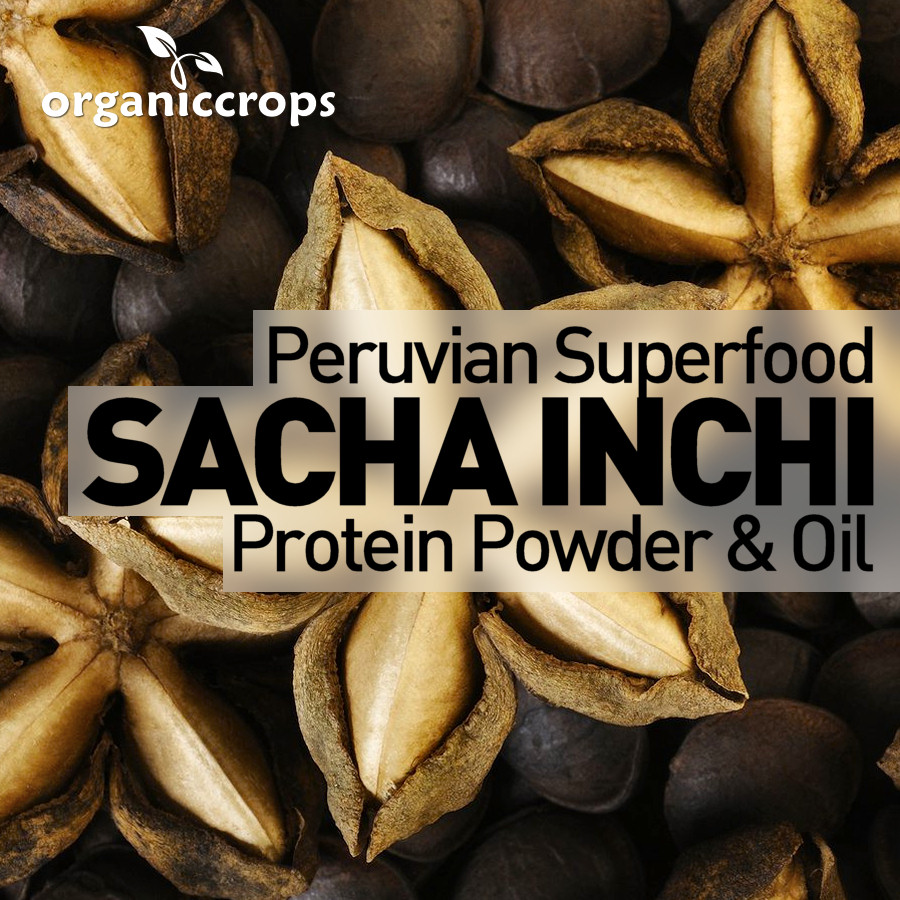 Peruvian Superfood Sacha Inchi Protein Powder And Sacha Inchi Oil