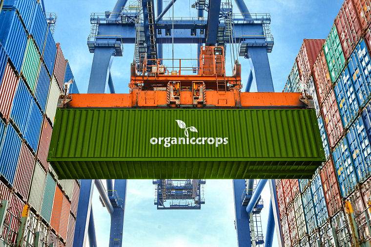 20 foot OrganicCrops shipping container