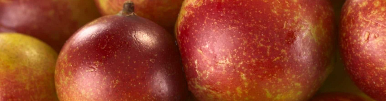 Camu Camu, one of the highest vitamin C levels of any food products