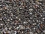 OrganicCrops organic black chia seed