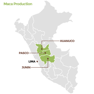 OrganicCrops premium maca from the Peruvian Andes