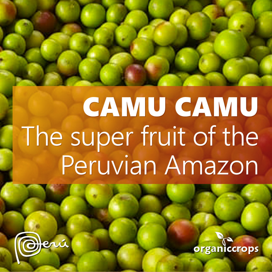 Camu Camu, la súper fruta de la Amazonía peruana.